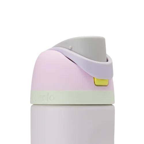 Owala FreeSip 24 OZ Walter Bottle-Candy Coated