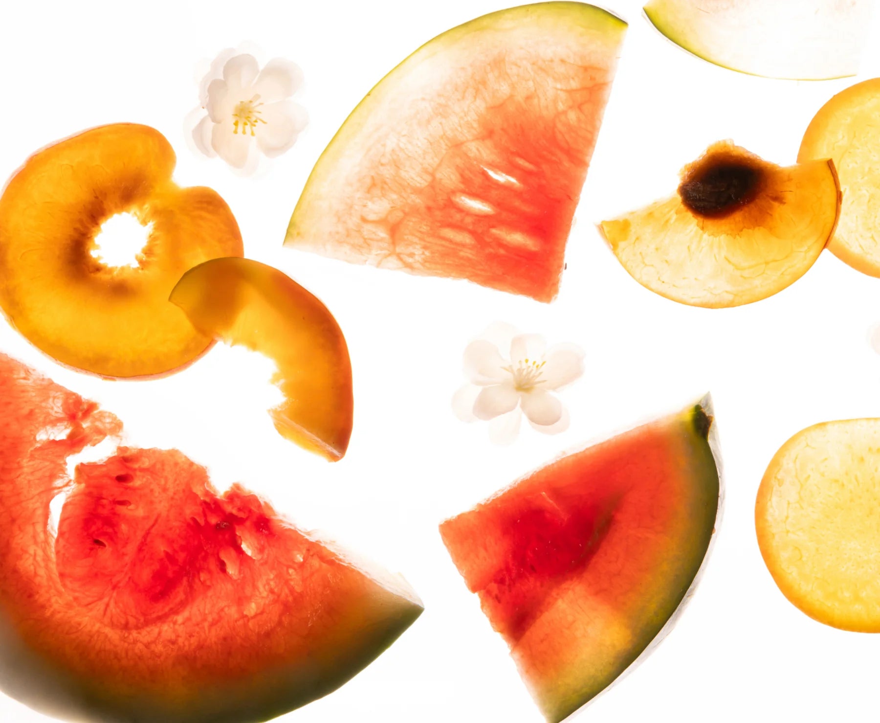 Wild Watermelon
