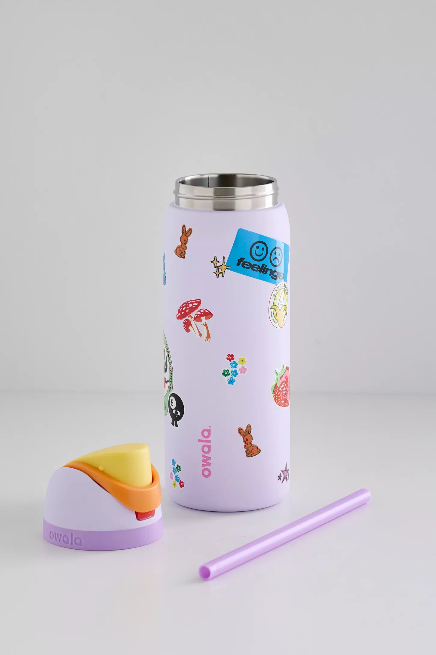 Owala FreeSip 32 OZ Walter Bottle-Dear Diary (Special edition)