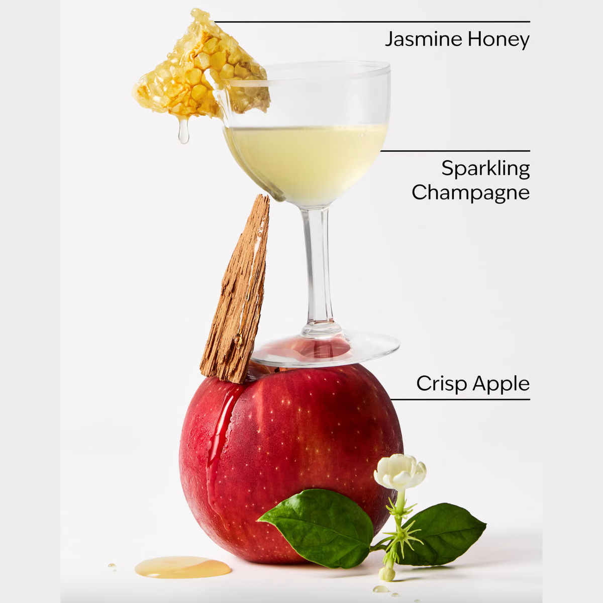 Bath & Body Works Champagne Apple & Honey PocketSpray Hand Sanitizer