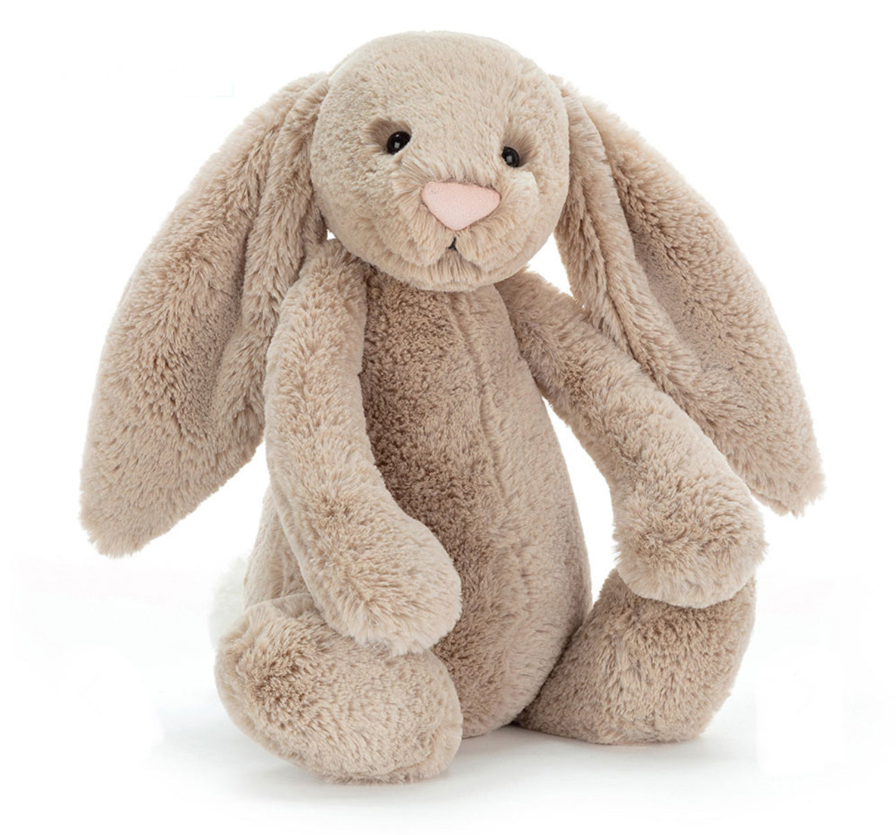 Jelly Cat - Bashful Beige Bunny size Large