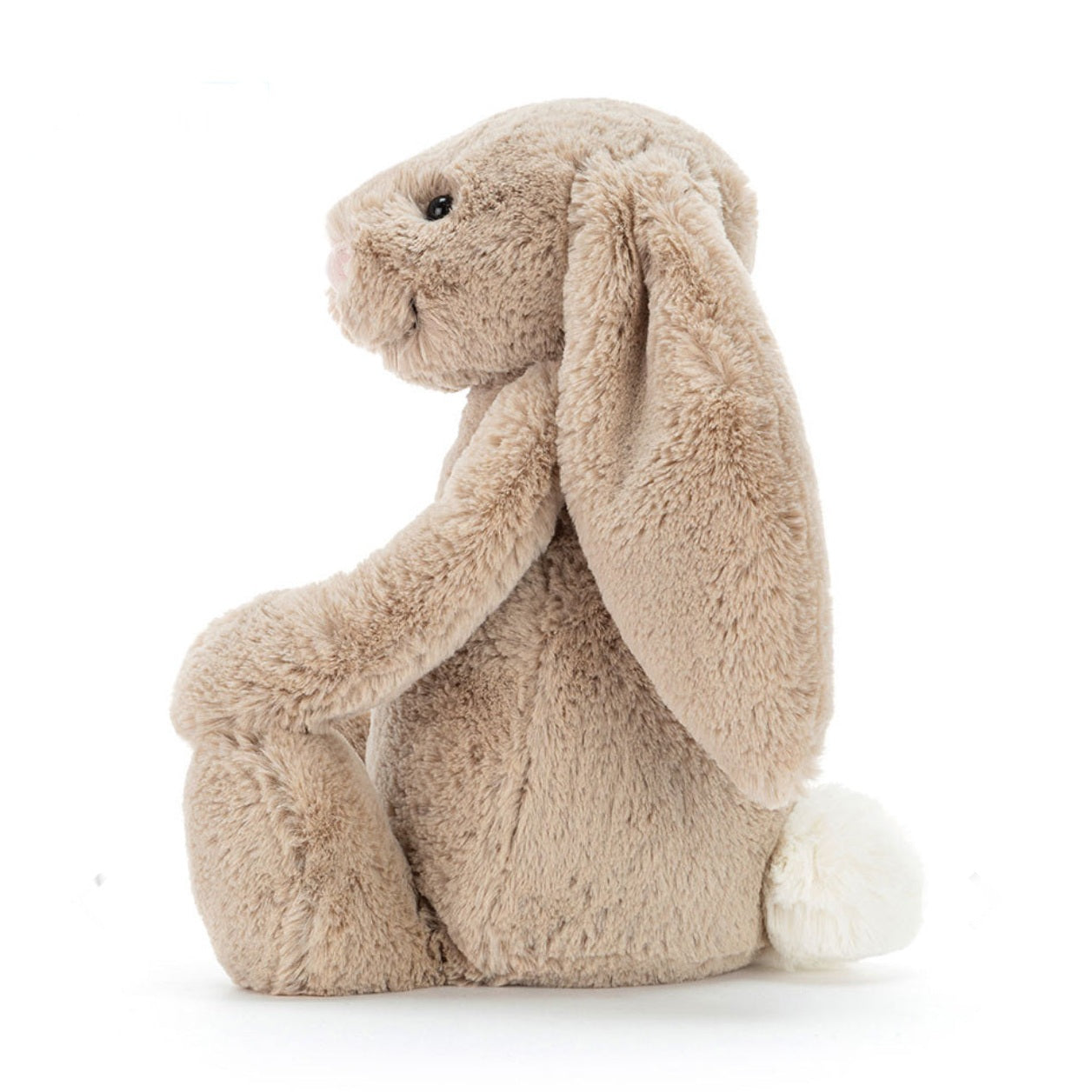 Jelly Cat - Bashful Beige Bunny size Large 