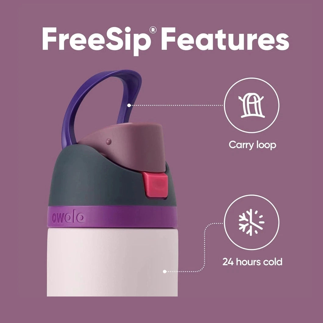 Owala 24 OZ FreeSip Stainless Steel Walter Bottle-Dreamly Field 