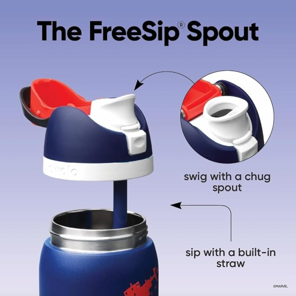 Owala FreeSip 32 oz. Stainless Steel Water Bottle - Swing of Things