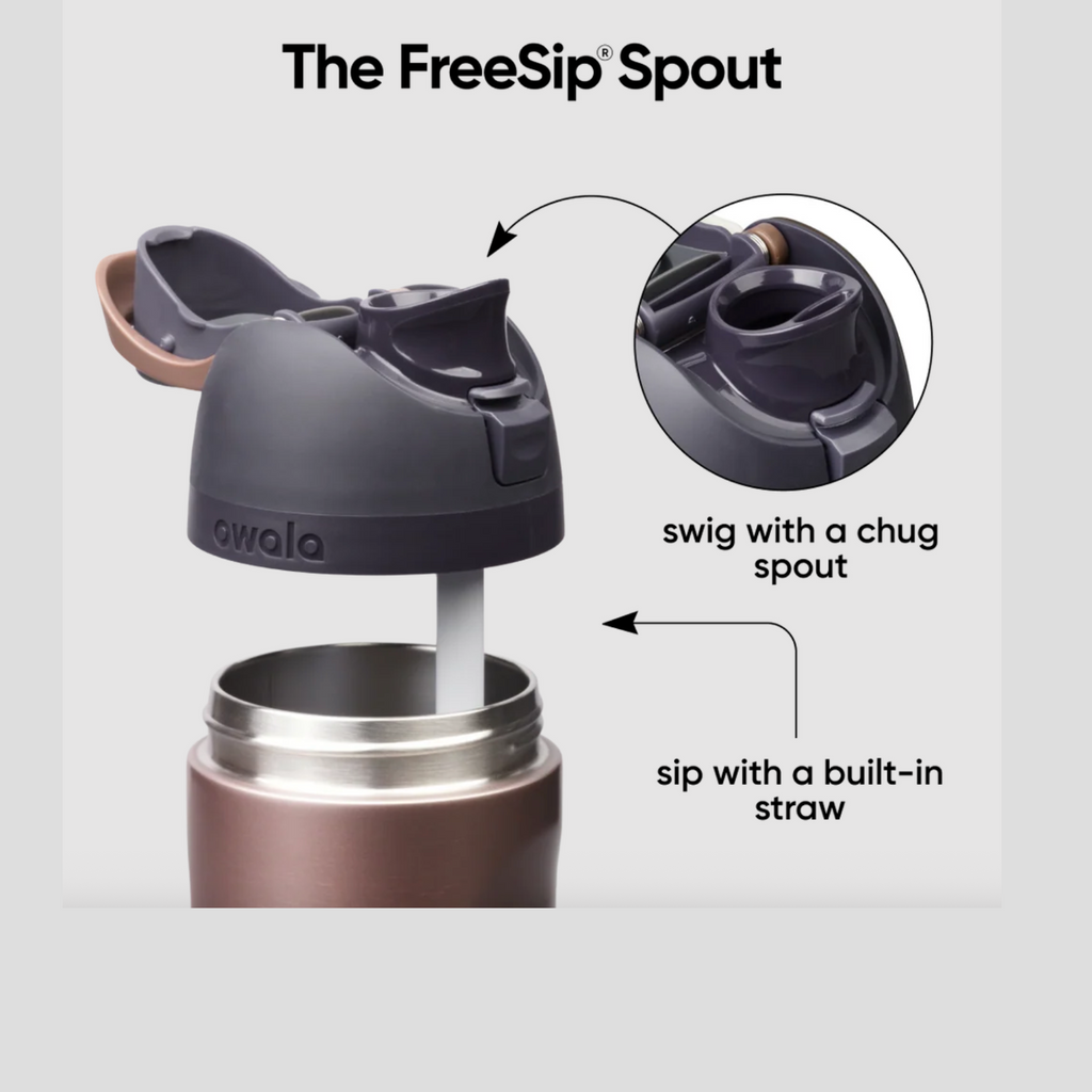 Owala FreeSip Stainless Steel Water Bottle 24 oz - Desert Smoke