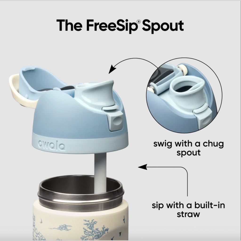 Owala FreeSip Stainless Steel Water Bottle 24 oz - Toile Be Home