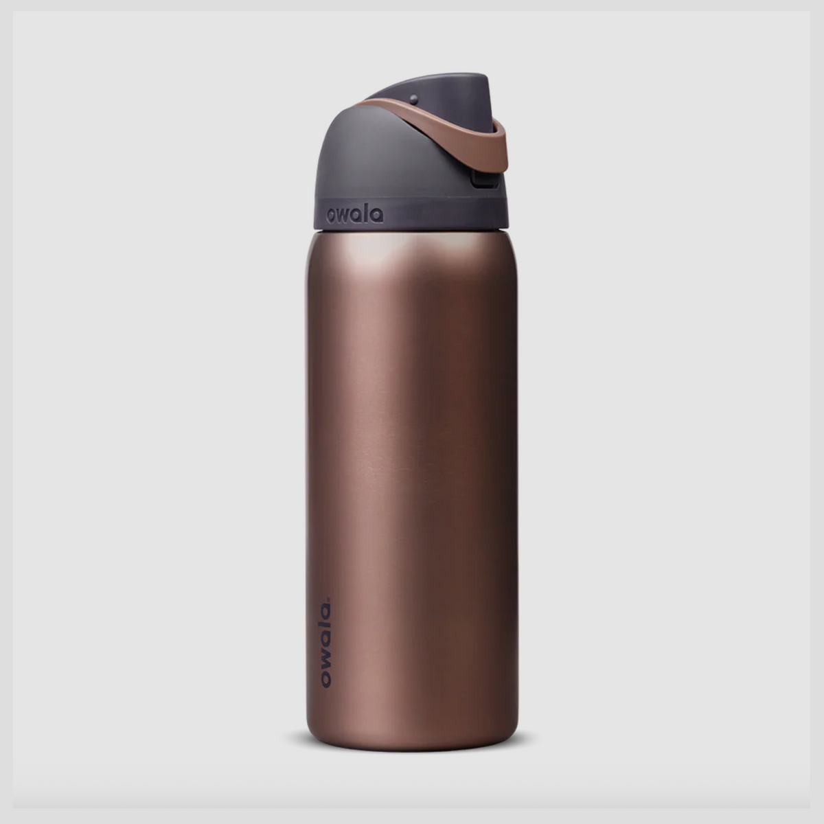 Owala FreeSip Stainless Steel Water Bottle 32 oz - Desert Smoke