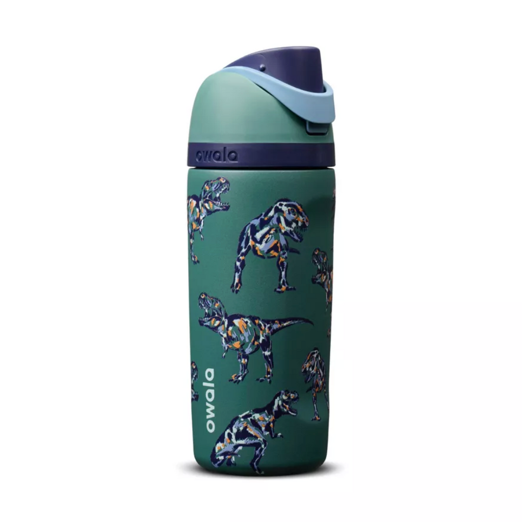 Owala x Cat & Jack 16 fl oz Stainless Steel FreeSip Insulated Water Bottle - Rex-cellent 