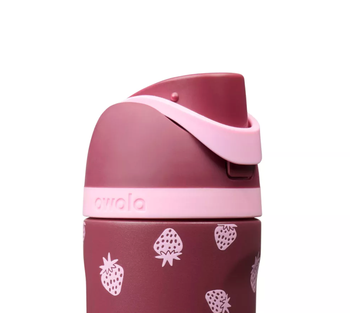 Owala x Cat & Jack 16 fl oz Stainless Steel FreeSip Insulated Water Bottle - Jam Session