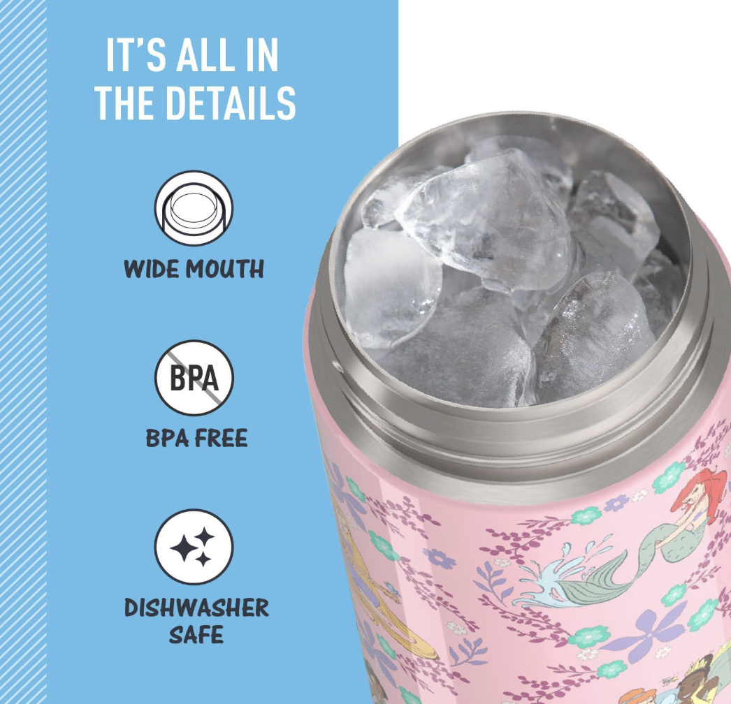 THERMOS FUNTAINER Water Bottle with Spout 16 oz. - Princess