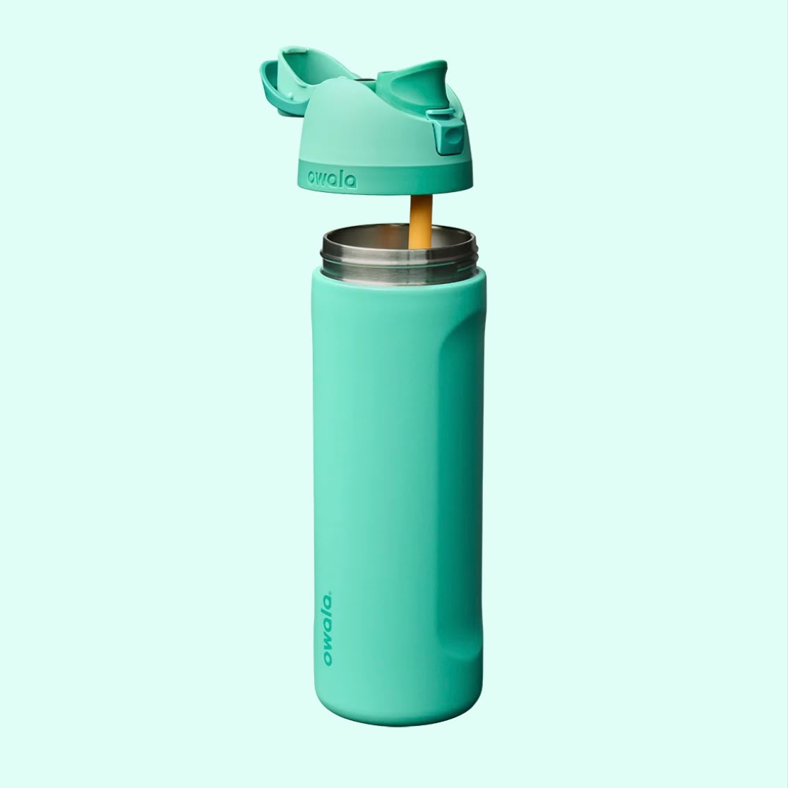Owala 24 OZ. Stainless Steel Water Bottle - 90s Kid
