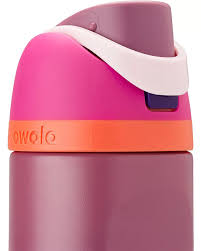 Owala  24 OZ FreeSip  Stainless Steel Walter Bottle-Crown Jewel